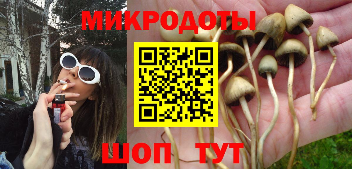 Галлюциногенные грибы Magic Shrooms  Вход с VPN  Фрязино 